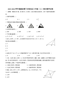 2023-2024学年福建省厦门市海沧区八年级（上）期末数学试卷（含解析）