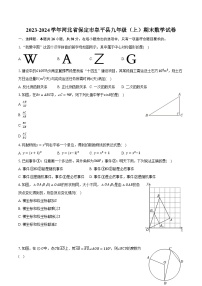 2023-2024学年河北省保定市阜平县九年级（上）期末数学试卷（含解析）