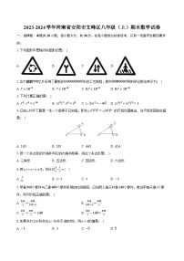 2023-2024学年河南省安阳市文峰区八年级（上）期末数学试卷（含解析）