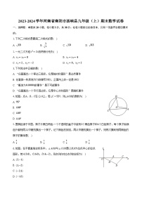 2023-2024学年河南省南阳市西峡县九年级（上）期末数学试卷（含解析）