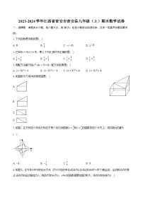 2023-2024学年江西省吉安市吉安县九年级（上）期末数学试卷（含解析）
