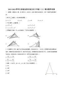 2023-2024学年江西省宜春市高安市八年级（上）期末数学试卷（含解析）