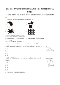 2023-2024学年山东省淄博市周村区八年级（上）期末数学试卷（五四学制）（含解析）