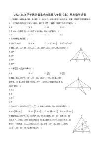 2023-2024学年陕西省宝鸡市陇县八年级（上）期末数学试卷（含解析）