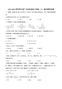 2023-2024学年四川省广元市旺苍县七年级（上）期末数学试卷（含解析）