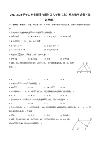 2023-2024学年山东省淄博市淄川区八年级（上）期末数学试卷（五四学制）（含解析）