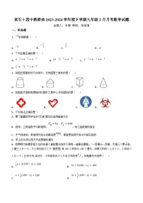 湖北省黄石十四中教联体2023-2024学年九年级下学期月考数学试题(含答案)