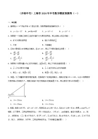 （冲刺中考）上海市2024年中考数学模拟预测卷（一）（含解析）