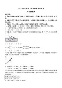 河南省平顶山市汝州市2023-2024学年八年级上学期期末数学试题（含答案）