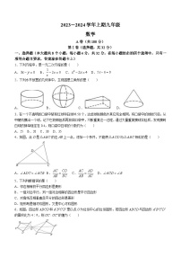 四川省成都市天府新区2023-2024学年九年级上学期期末数学试题(含答案)