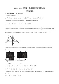 河南省周口市郸城县2023-2024学年八年级上学期期末数学试题(含答案)