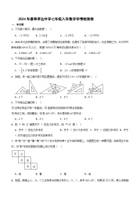 湖南省永州市李达中学2023—2024学年下学期七年级入学测试数学卷（含解析）