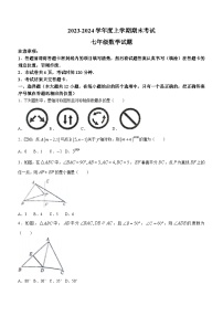 山东省泰安市肥城市2023-2024学年七年级上学期期末数学试题(含答案)