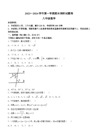 河南省平顶山市2023-2024学年八年级上学期期末数学试题(无答案)