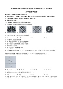 贵州省黔东南苗族侗族自治州2023-2024学年九年级上学期期末数学试题