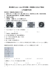 贵州省黔东南苗族侗族自治州2023-2024学年九年级上学期期末数学试题
