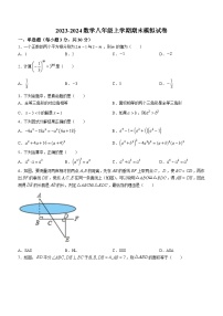 河南省鹤壁市浚县实验初级中学2023-2024学年八年级上学期期末数学试题