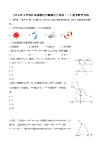 2023-2024学年江西省赣州市南康区九年级（上）期末数学试卷（含解析）