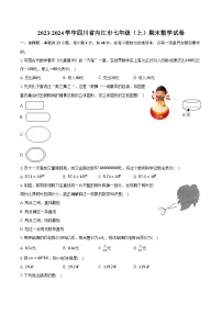 2023-2024学年四川省内江市七年级（上）期末数学试卷（含解析）