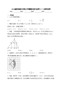 2024届青岛版九年级上学期期末复习试卷（二）数学试卷(含答案)