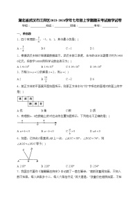 湖北省武汉市江岸区2023-2024学年七年级上学期期末考试数学试卷(含答案)