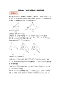 2024年中考数学压轴题之学霸秘笈大揭秘专题24以三角形为载体的几何综合问题 （原卷版+解析）