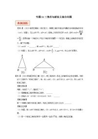 2024年中考数学压轴题之学霸秘笈大揭秘专题31三角形与新定义综合问题（原卷版+解析）