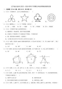 辽宁大连2023—2024学年下学期九年级学期初调研数学试卷