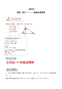 2024年中考数学几何模型专项复习讲与练 模型41 相似形——射影定理模型-原卷版+解析