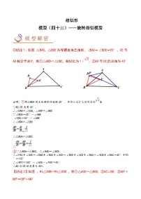 2024年中考数学几何模型专项复习讲与练 模型43 相似形——旋转相似模型-原卷版+解析