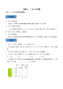 2024年中考数学必考考点总结题型专训专题11一元二次方程篇（原卷版+解析）