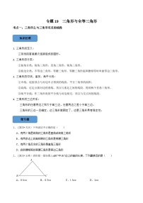 2024年中考数学必考考点总结题型专训专题19三角形与全等三角形篇（原卷版+解析）