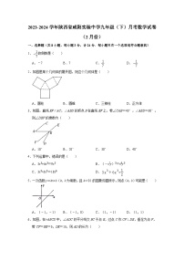 陕西省咸阳实验中学2023—2024学年下学期九年级2月月考数学试卷+