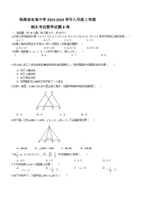 海南省海口市龙华区农垦中学2023-2024学年八年级上学期期末考试数学试题B卷(含答案)