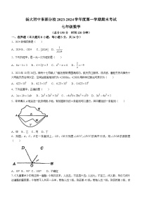 江苏省扬州市广陵区扬州大学附属中学东部分校2023-2024学年七年级上学期期末数学试题(无答案)