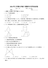 湖南省岳阳市临湘市2023-2024学年九年级下学期开学数学试题（含答案）