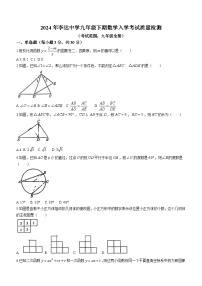 湖南省永州市李达中学2023-2024学年九年级下学期开学测试数学试题(无答案)