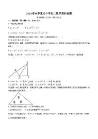 福建省泉州市永春县重点中学2023-2024学年八年级下学期开学考试数学试题（含答案）