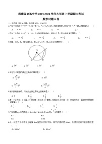 海南省海口市农垦中学2023-2024学年九年级上学期期末考试数学试题（B卷）（含答案）