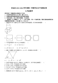 贵州省毕节市织金县2023-2024学年九年级上学期期末数学试题（含答案）