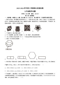 山东省日照市东港区日照高新区中学2023-2024学年九年级上学期期末数学试题(无答案)