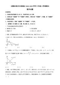 安徽省亳州市谯城区2022-2023学年八年级上学期期末数学试题（原卷版+解析版）