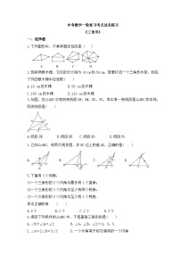 中考数学一轮复习考点过关练习《三角形》（含答案）