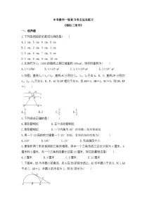中考数学一轮复习考点过关练习《相似三角形》（含答案）