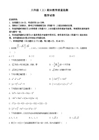 四川省眉山市洪雅县实验中学校2023-2024学年八年级上学期期末数学试题（原卷版+解析版）