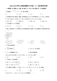 云南省楚雄彝族自治州2023-2024学年七年级上学期期末数学试题（原卷版+解析版）