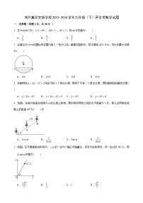 广东省深圳市南山区南外集团文华学校2023-2024学年九年级下学期开学考数学试题