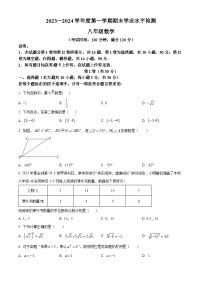 山东省青岛市西海岸新区2023-2024学年八年级上学期期末数学试题（原卷版+解析版）