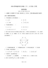 2024届温州市九年级（下）月考数学试卷（3月份）