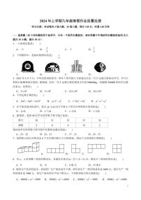 湖南省长沙市中雅培粹学校2023-2024学年九年级下学期入学考试数学试题